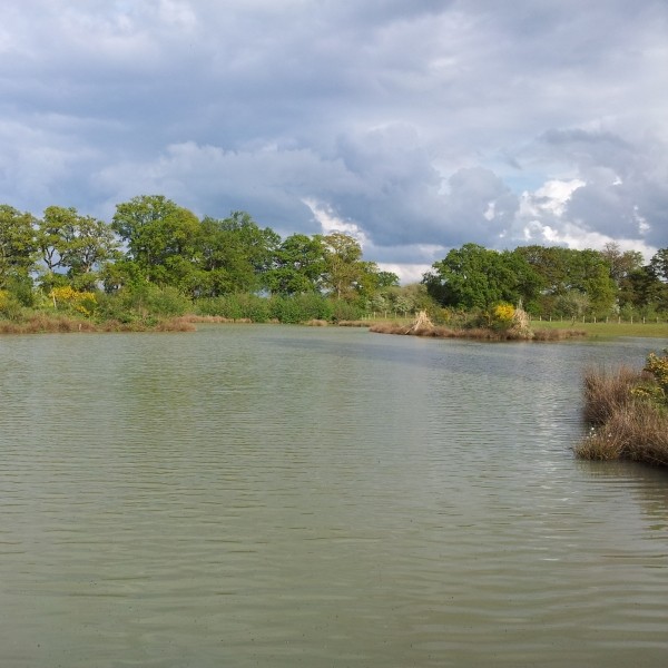 Création d'étang dans l'Orne 61
